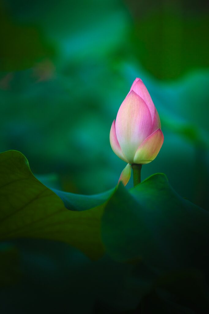 Practice Self-Compassion